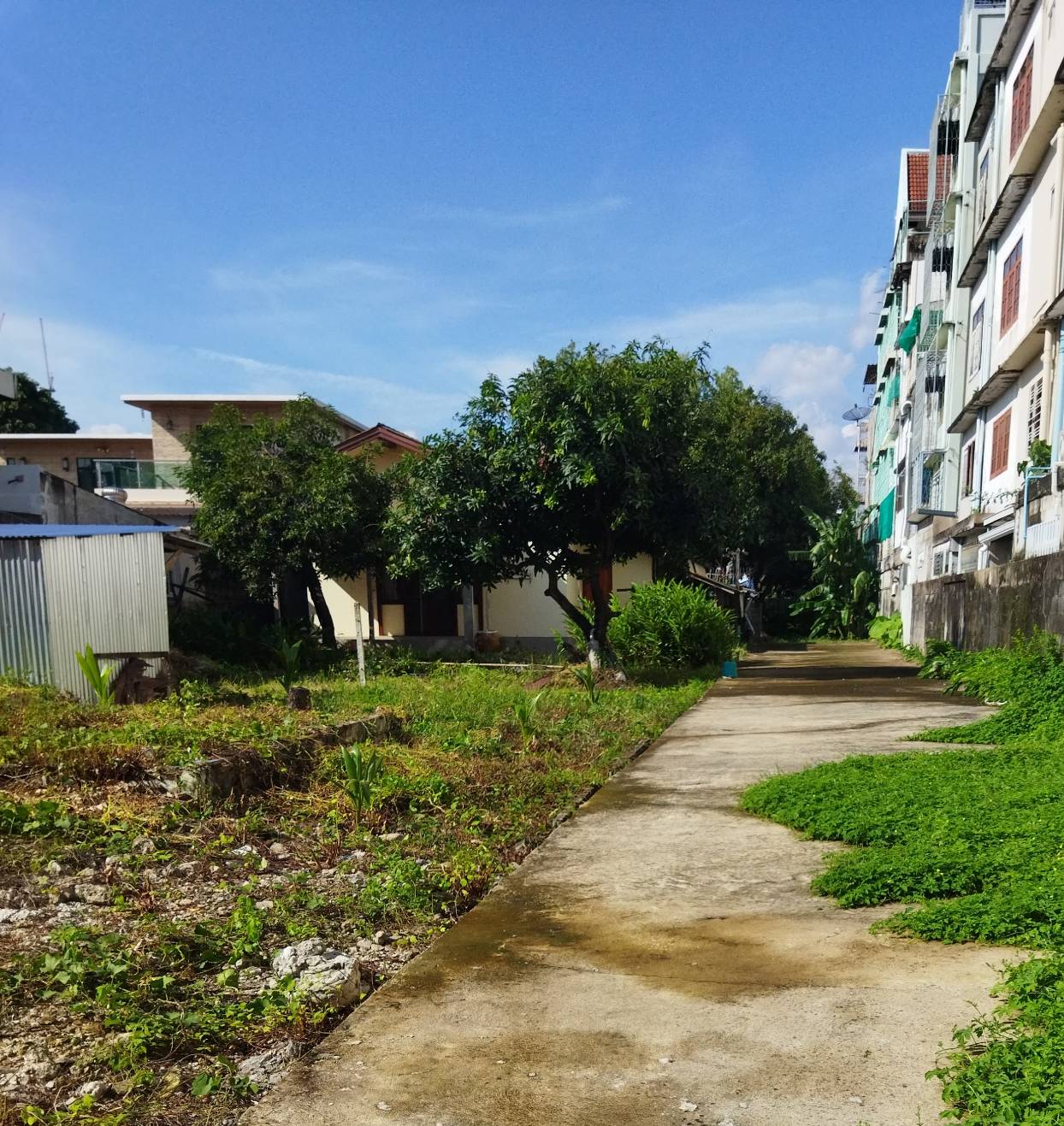 ขายที่ดิน เจริญนคร 56 ธนบุรี สำเหร่ พระราม3 สมเด็จพระเจ้าตากสิน - Image 7