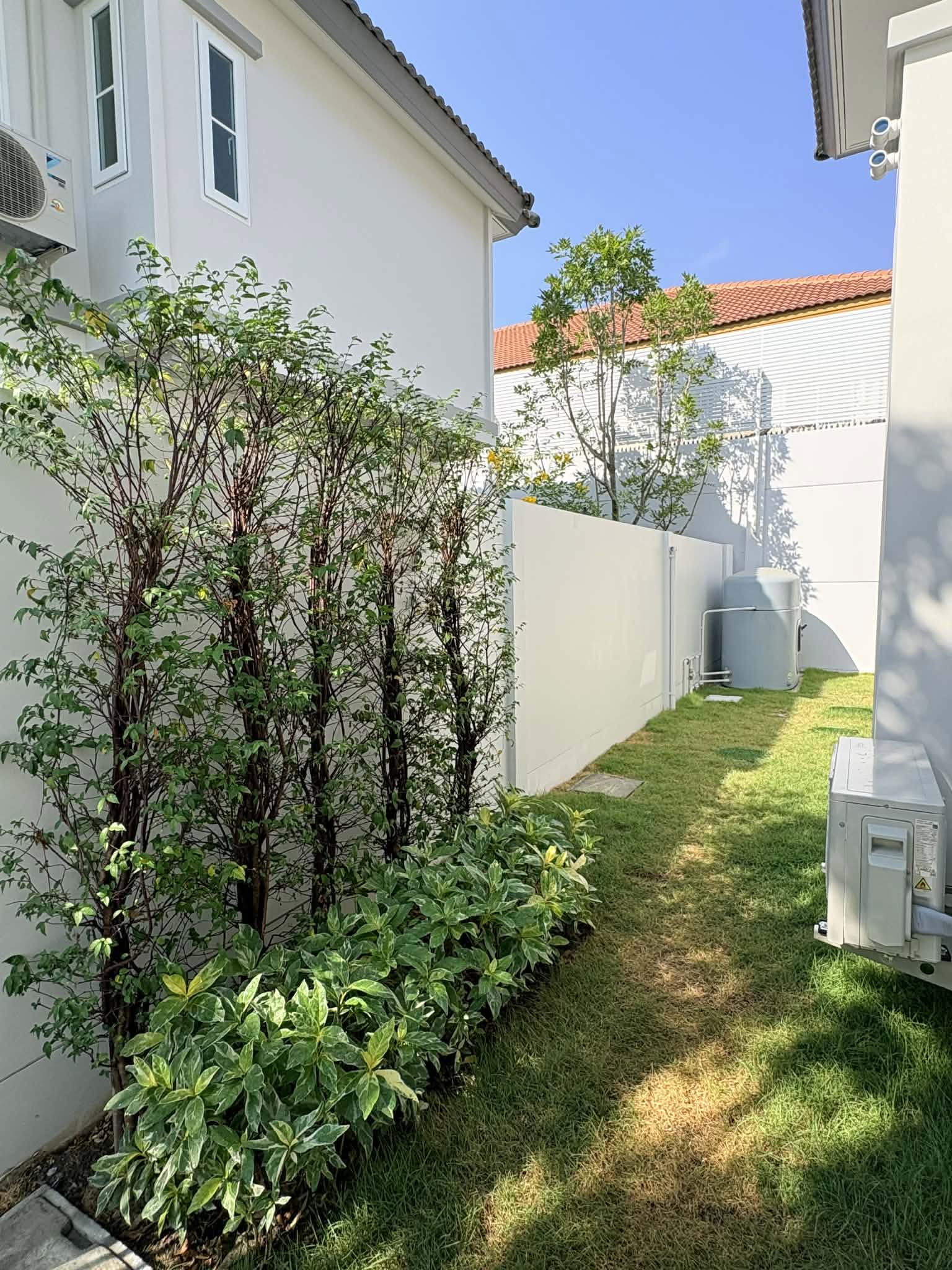 ให้เช่า บ้านเดี่ยว Villagio Srinakarin – Bangna 3 บ้านใหม่ พร้อมเฟอร์นิเจอร์และเครื่องใช้ไฟฟ้าครบ เข้าอยู่ได้ทันที - Image 3