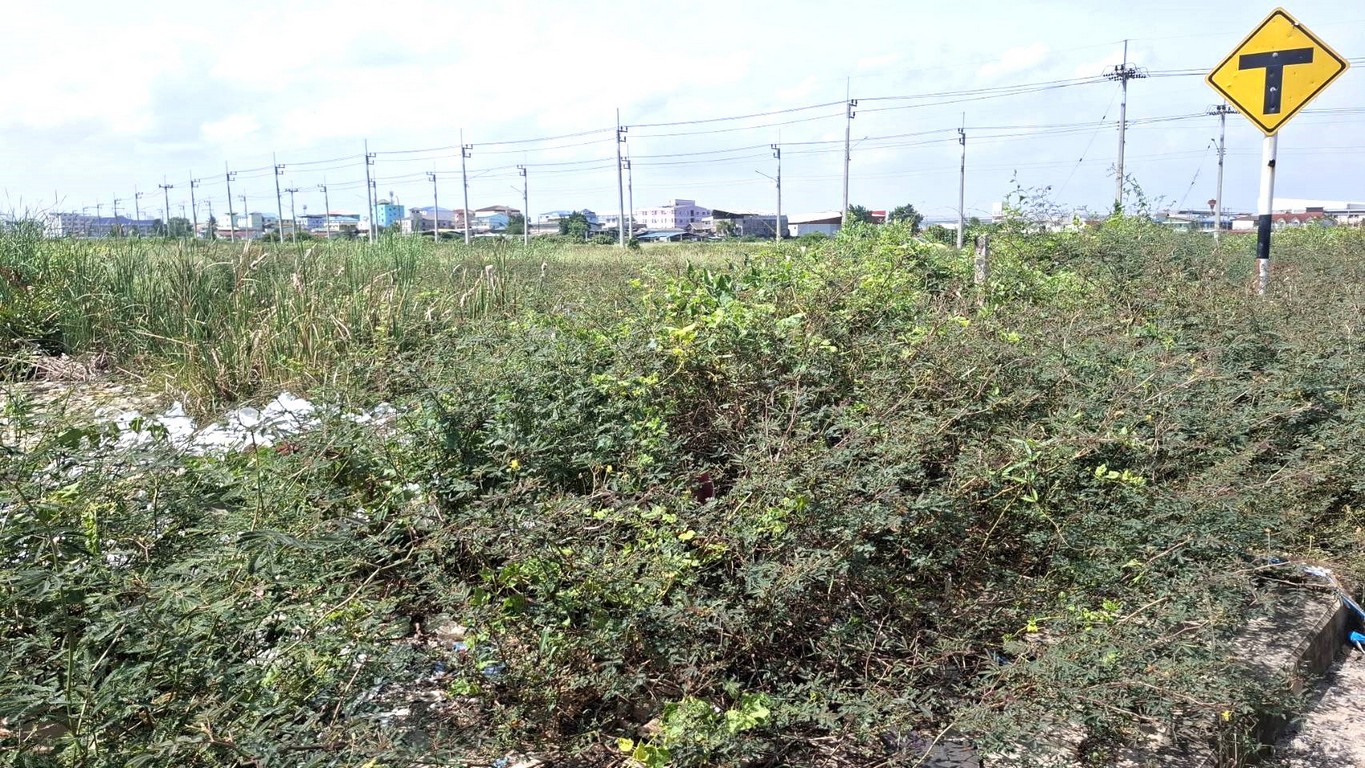 ขายที่ดินเปล่า เนื้อที่ 2ไร่ 64.3 ตรว. ถนนเอกชัย โคกขาม สมุทรสาคร (ติดถนน) แปลงสวย  - Image 4