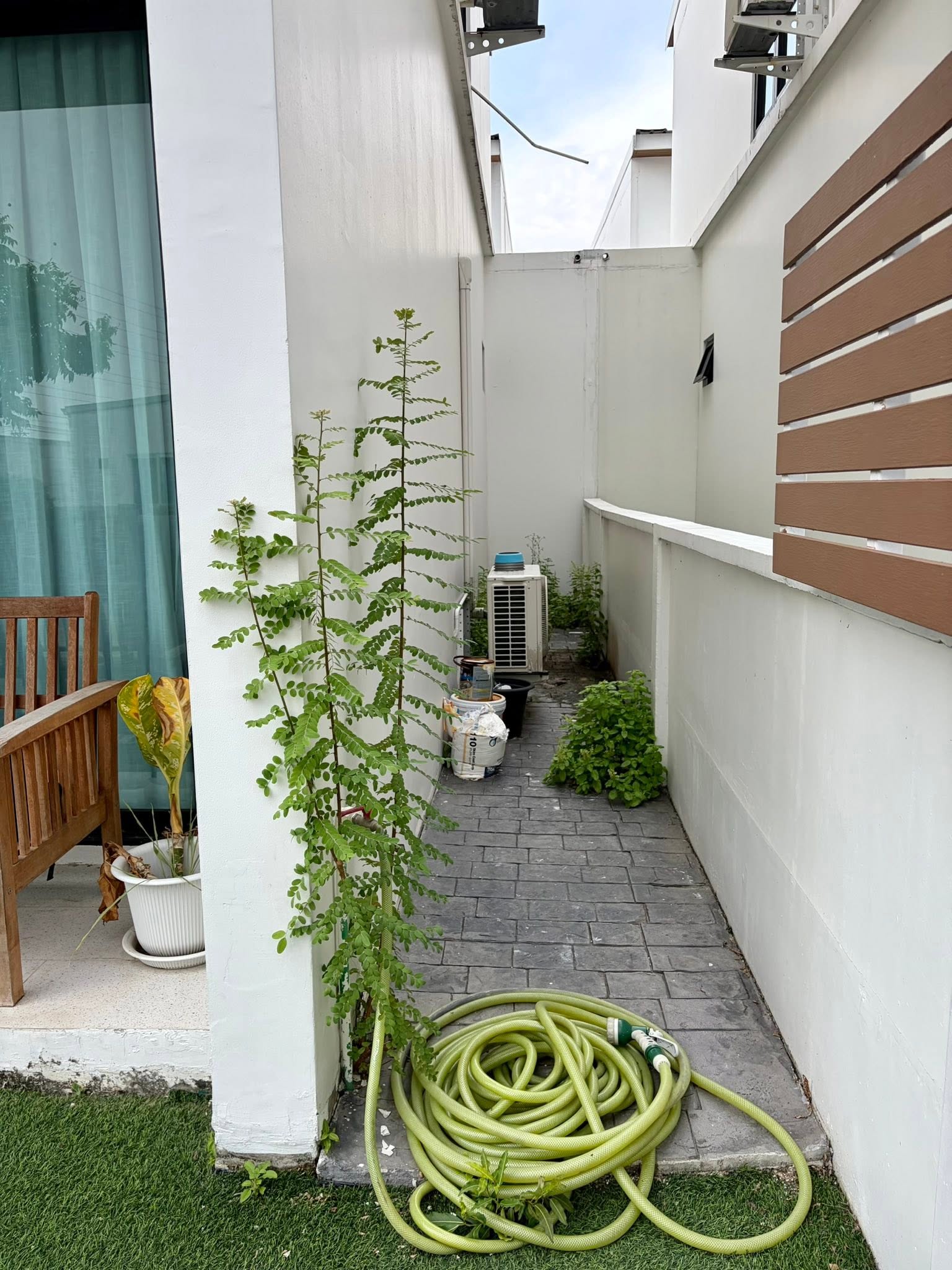 ให้เช่าบ้านใกล้ Mega Bangna | Como Bianca Bangna โคโม่ เบียงก้า - Image 4