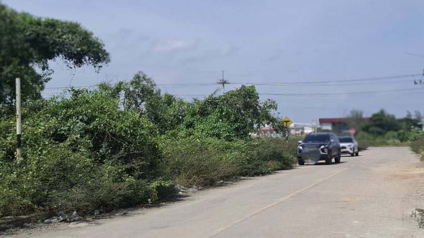 ขายที่ดินเปล่า เนื้อที่ 2ไร่ 64.3 ตรว. ถนนเอกชัย โคกขาม สมุทรสาคร (ติดถนน) แปลงสวย  - Image 5