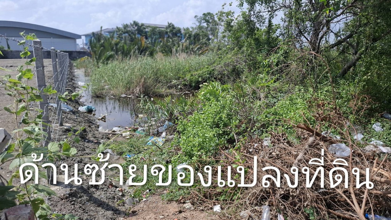 ขายที่ดินเปล่า เนื้อที่ 2ไร่ 64.3 ตรว. ถนนเอกชัย โคกขาม สมุทรสาคร (ติดถนน) แปลงสวย  - Image 6