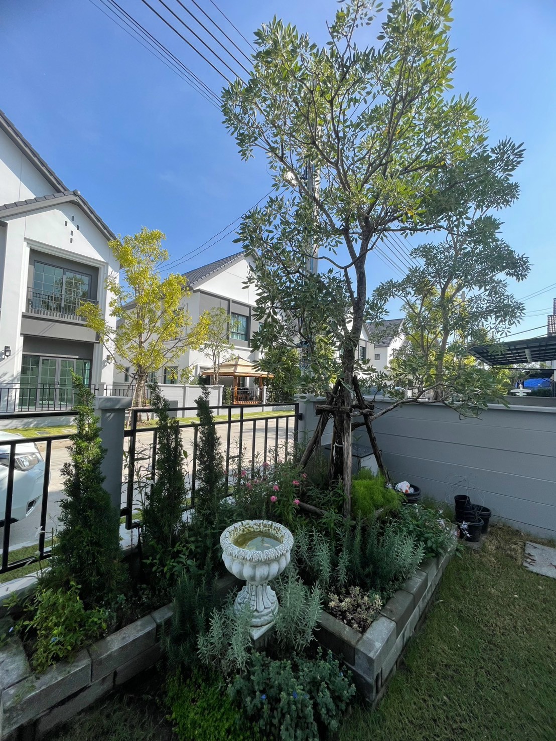 ให้เช่า บ้านเดี่ยว CENTRO Bangna | 4 ห้องนอน 5 ห้องน้ำ | 268 ตร.ม. | ติดสนามกอล์ฟเมืองแก้ว | ใกล้ Mega Bangna - Image 6